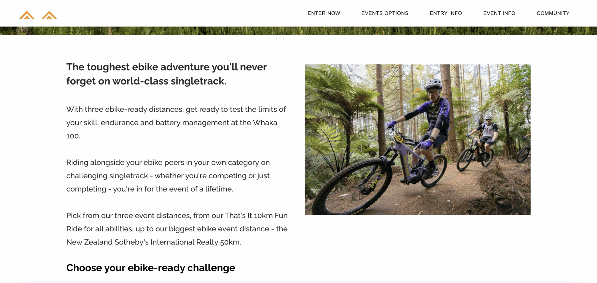 Screenshot 2024-01-23 at 2.49.05 PM